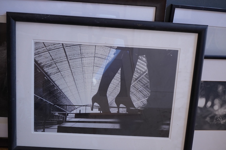Six contemporary black and white photographic prints to include waves, horses, trees and a landscape with cattle, indistinctly signed, largest 38 x 58cm
